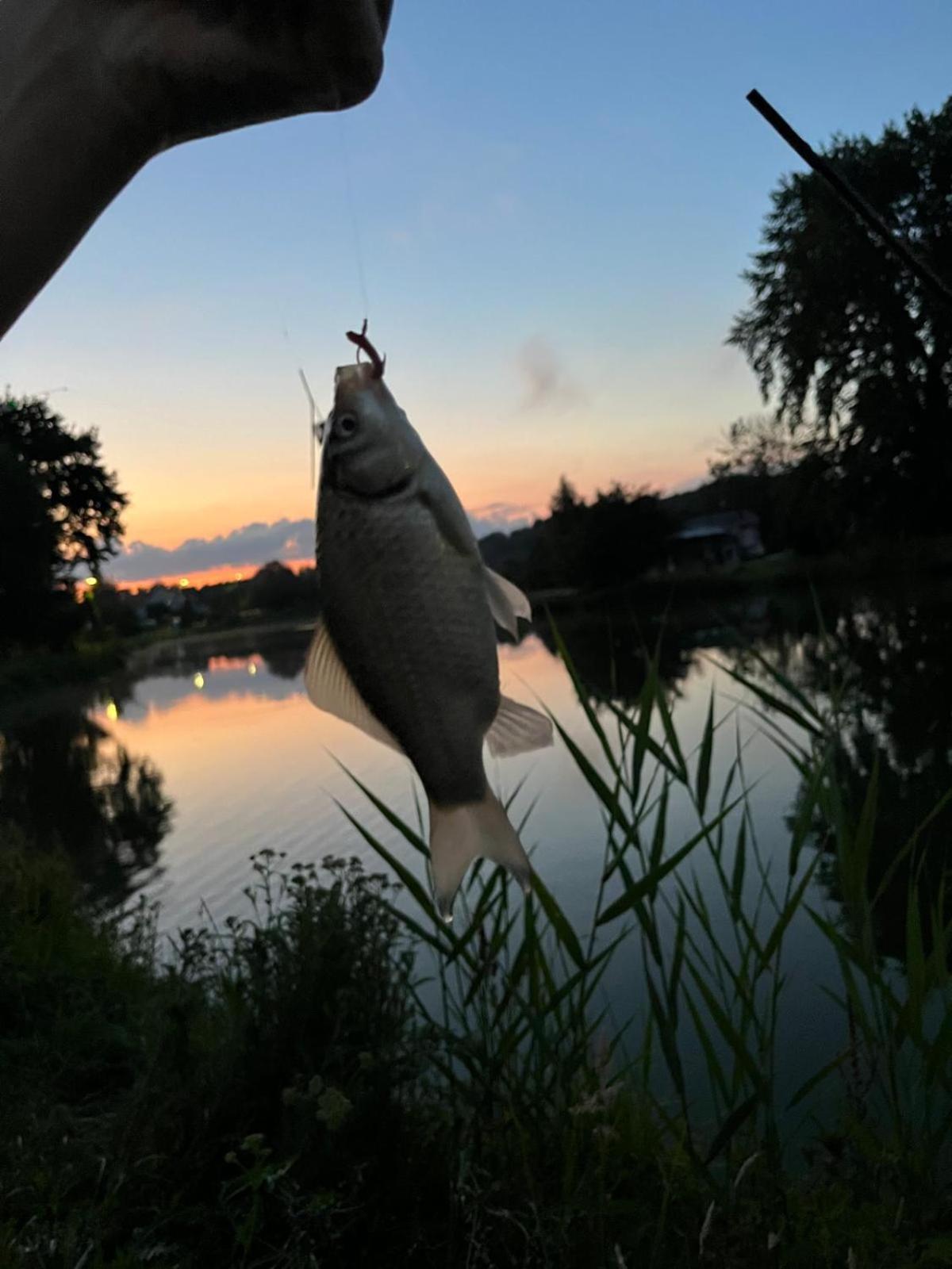 Osada Karszewo, Sauna Bania, Ryby Eksteriør bilde